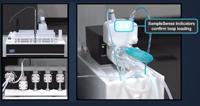 SampleSense prep<em>FAST</em> Autodilution Video