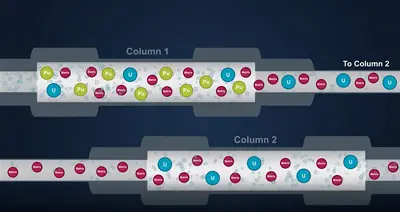 prepFAST MC Column Speciation