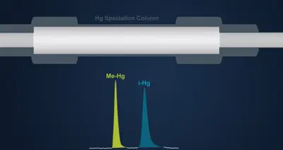 Mercury Speciation Video